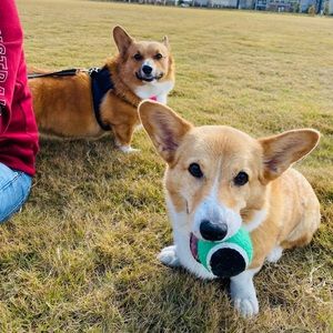 Meet your Posher, Erika